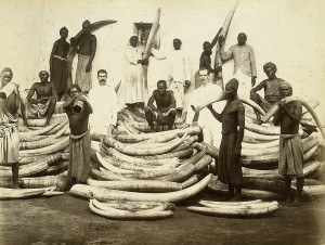 The ivory trade in East Africa, 1880s/90s. Image courtesy of Wikimedia Commons